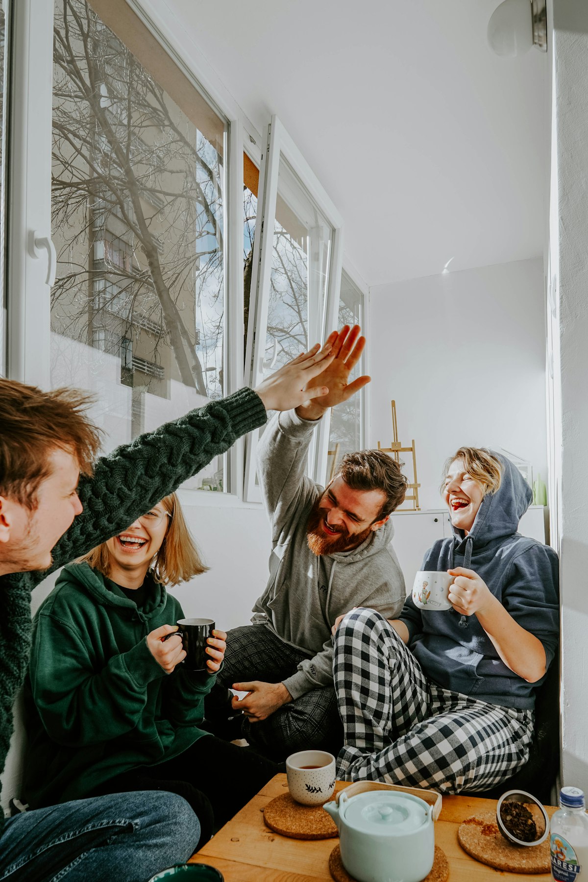 Friends at Home — Therapy Scope program
